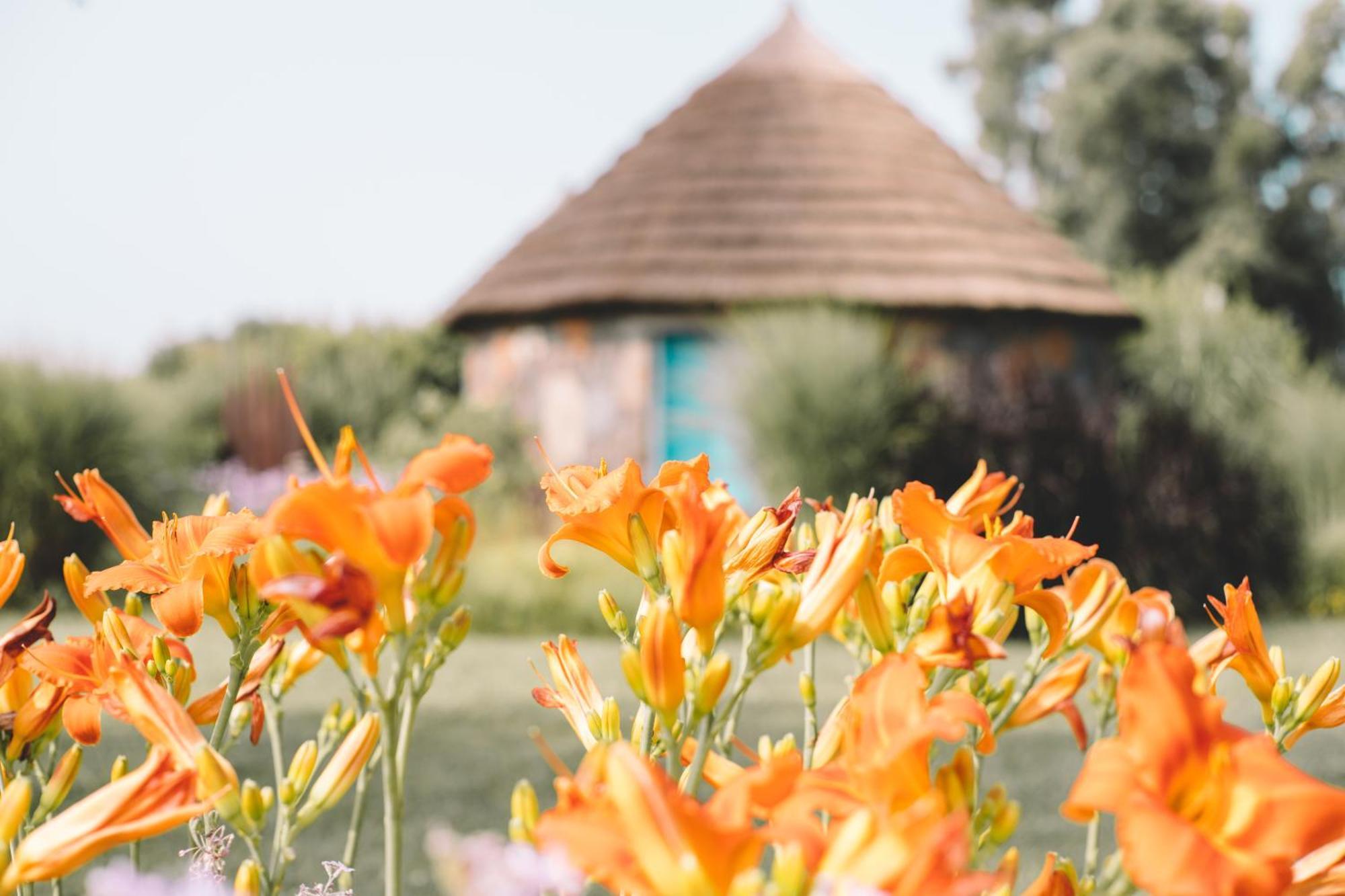 Is Cheas Wine Farm Boutique Hotel San Vero Milis Rum bild