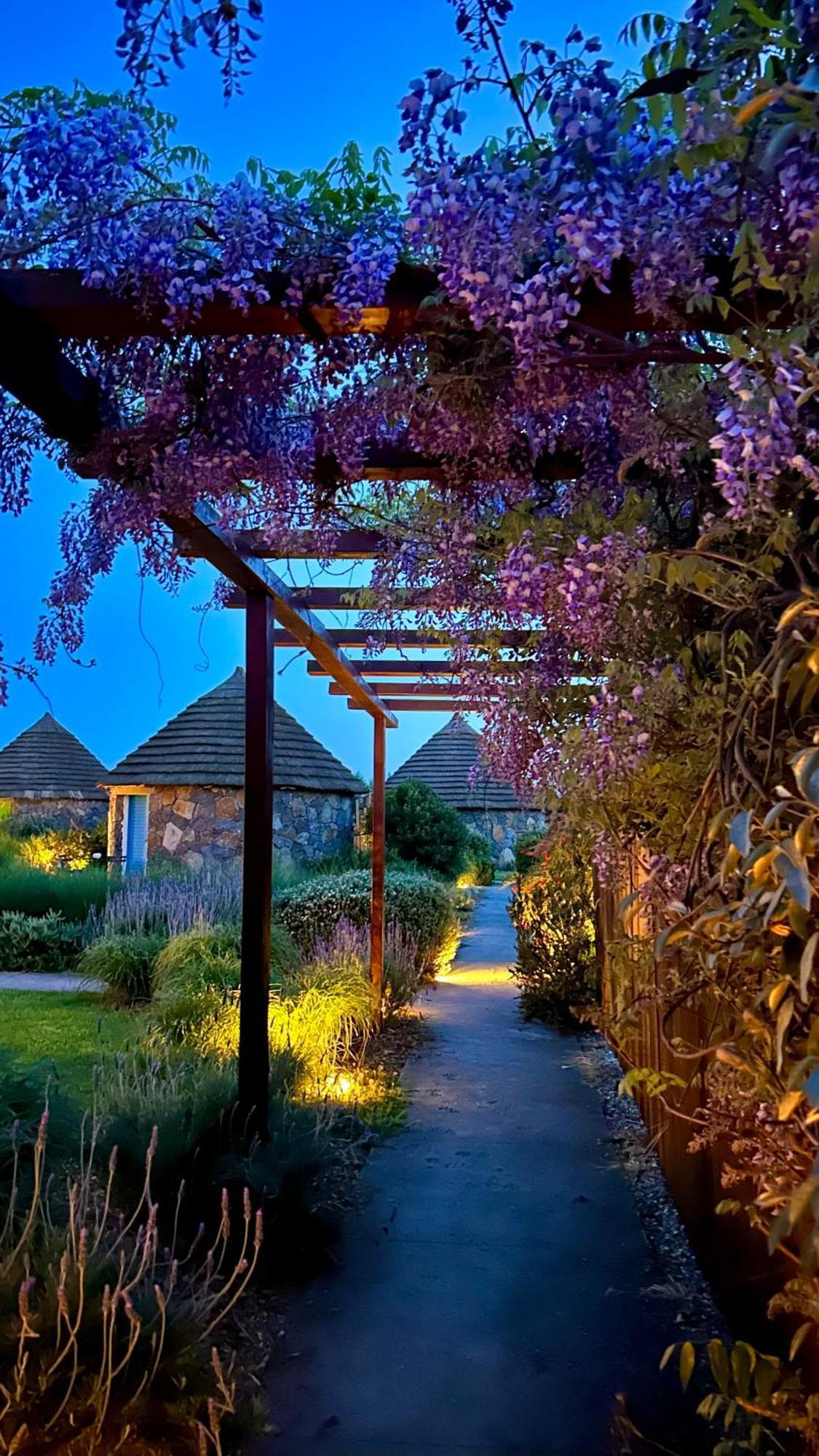 Is Cheas Wine Farm Boutique Hotel San Vero Milis Exteriör bild