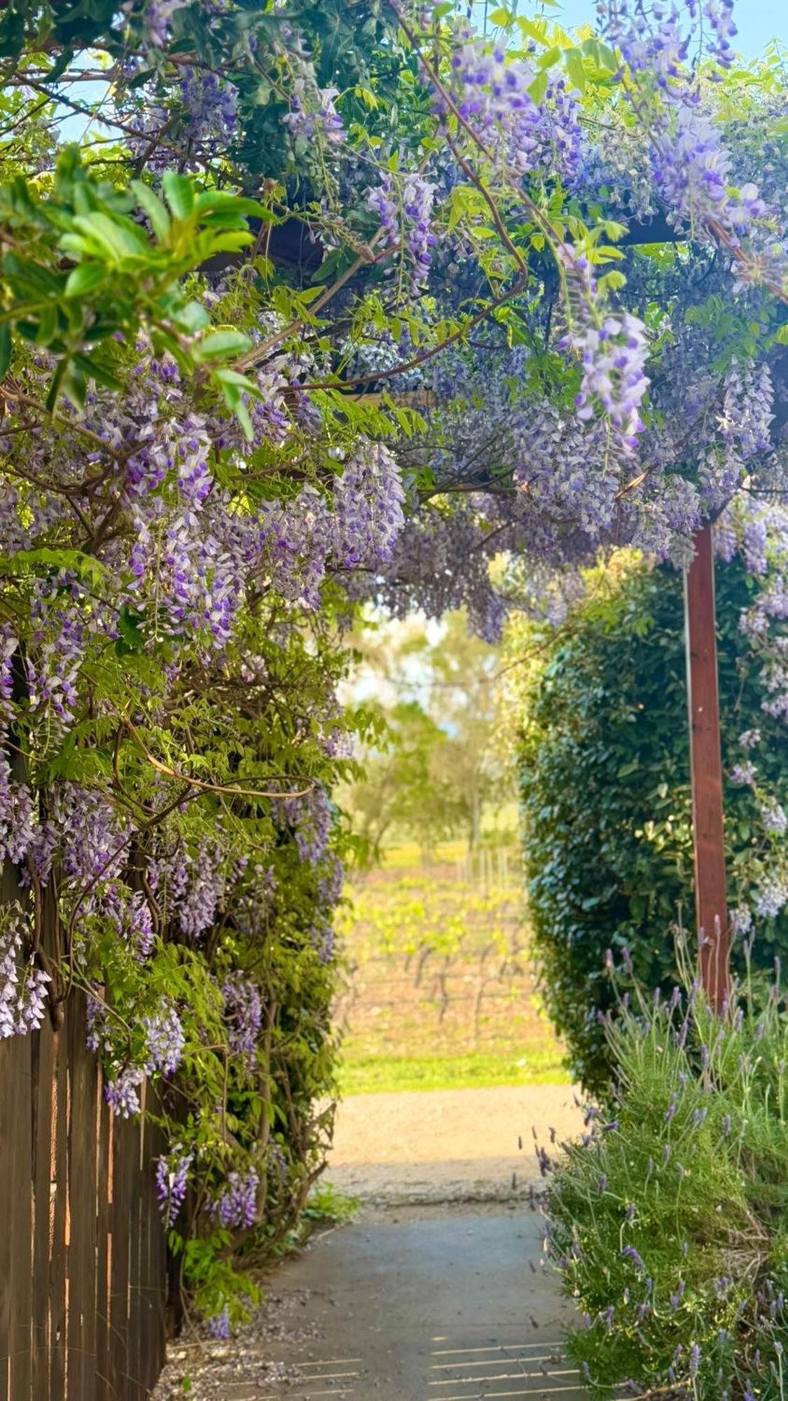 Is Cheas Wine Farm Boutique Hotel San Vero Milis Exteriör bild